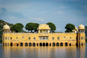 Vanuit Delhi: 5-daagse Gouden Driehoek, Safari & Vogels Tour