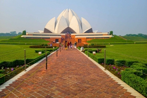 Vanuit Delhi: 5-daagse Gouden Driehoek, Safari & Vogels Tour