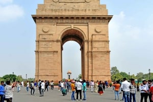 Vanuit Delhi: 5-daagse Gouden Driehoek, Safari & Vogels Tour