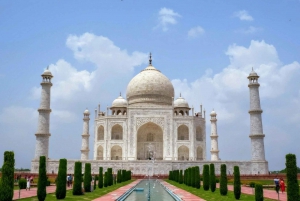 Vanuit Delhi: 5-daagse Gouden Driehoek, Safari & Vogels Tour