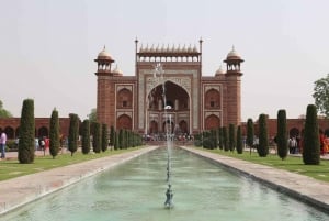 From Delhi: 5-Day Golden Triangle Tour with Safari & Birds