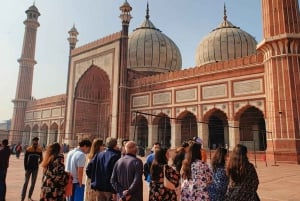 Fra Delhi: 5-dagers tur til Den gylne trekant og tigersafari