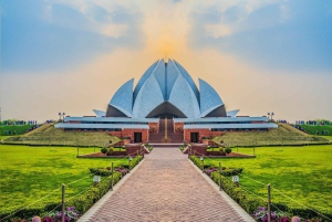 Vanuit Delhi: 5-daagse Gouden Driehoek, Safari & Vogels Tour