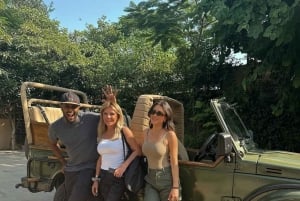 From Delhi: 5-Day Golden Triangle & Tiger Safari Journey