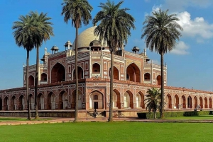 Delhistä: 5 päivän Kultaisen kolmion kiertomatka Ranthamboren kanssa