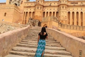 Delhistä: 5 päivän Kultaisen kolmion kiertomatka Ranthamboren kanssa