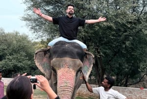 Från Delhi: 5-dagars Golden Triangle Tour med Ranthambore