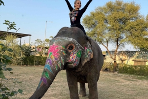 Från Delhi: 5-dagars Golden Triangle Tour med Ranthambore