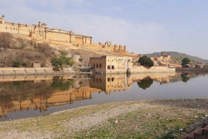 Från Delhi: 5-dagars Gyllene triangeln med Ranthambore Safari