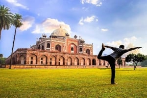 Delhi: Private Full-Day Tour of Old & New Delhi