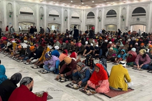 Från Delhi: 5 dagar Gyllene triangeln Delhi, Agra & Jaipur Tour