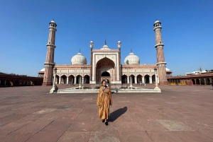 Från Delhi: 5 dagar Gyllene triangeln Delhi, Agra & Jaipur Tour