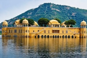 Från Delhi: 5-dagarstur till Gyllene triangeln med tigersafari