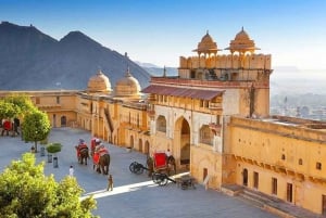 Ab Delhi: Private 5-tägige Golden Triangle Luxury Tour