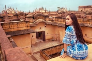 Depuis Delhi : visite de 6 jours du Triangle d'Or avec Ranthambore