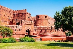 Depuis Delhi : visite de 6 jours du Triangle d'Or avec Ranthambore