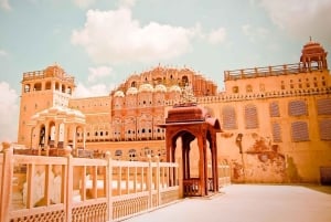 Depuis Delhi : visite de 6 jours du Triangle d'Or avec Ranthambore