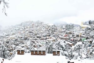 From Delhi: 6-Day Shimla and Manali Tour with Transfers