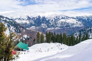 From Delhi: 6 Day Shimla, Kullu, and Manali Sightseeing Tour