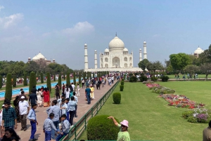 Depuis Delhi : visite d'Agra en train Gatimaan avec le Taj Mahal