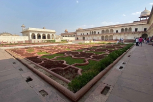 Vanuit Delhi: Agra-dagtour per Gatimaan-trein met Taj Mahal