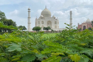 Fra Delhi: Dagstur til Agra med Gatimaan-toget med Taj Mahal