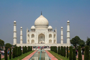 Från Delhi: Taj Mahal guidad dagsutflykt med supersnabbt tåg