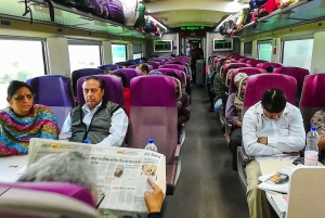 Da Delhi: tour espresso in treno del Forte di Agra e del Taj Palace