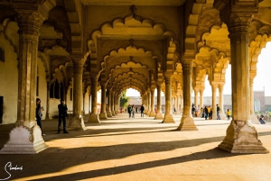 Depuis Delhi : visite privée d'Agra avec entrée rapide au Taj mahal