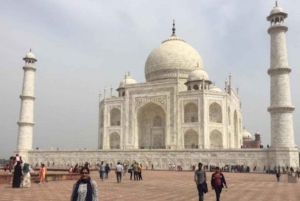 Fra Delhi/Agra: Taj Mahal og Agra privat dag