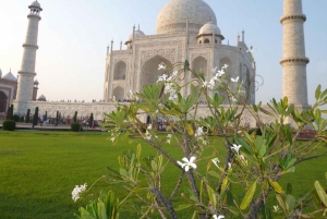 Fra Delhi/Agra: Taj Mahal og Agra privat dag