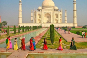 Von Delhi/Agra: Taj Mahal & Agra Privat Tag