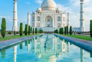 Vanuit Delhi/Agra: Taj Mahal & Agra Privé Dag