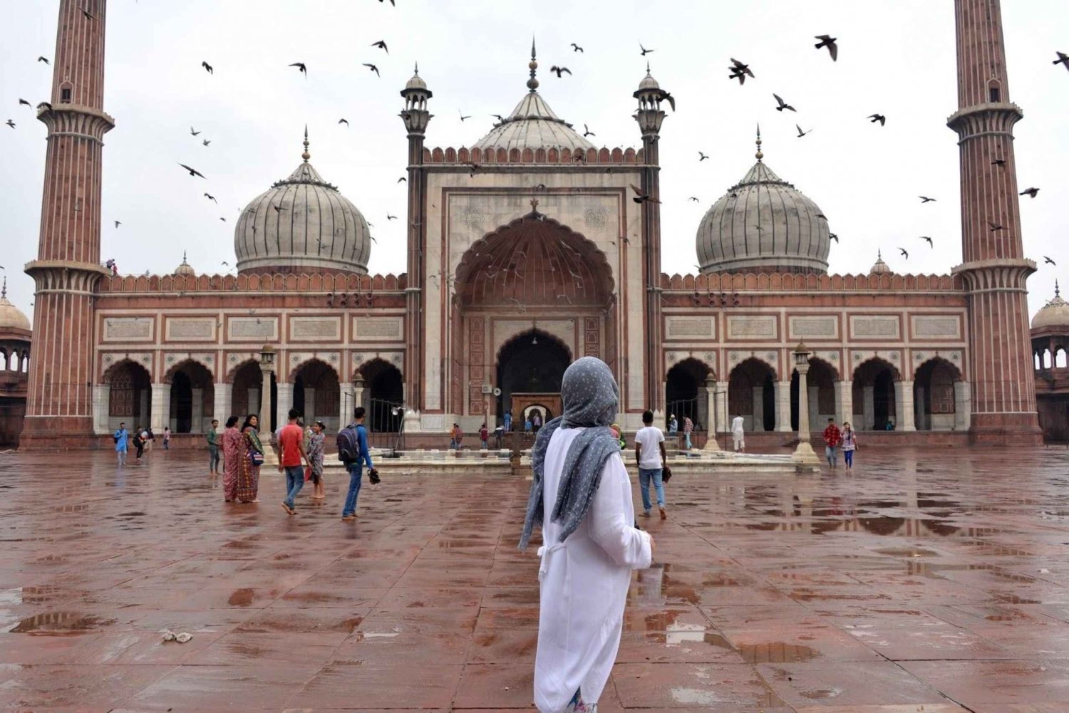 Dall'aeroporto di Delhi: tour privato guidato del Taj Mahal durante lo scalo