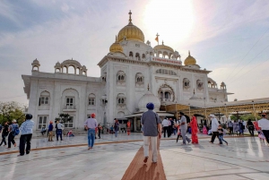 Vanaf de luchthaven van Delhi: begeleide stadstour door Delhi