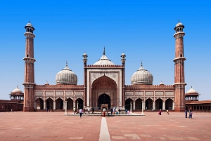 Vanaf de luchthaven van Delhi: begeleide stadstour door Delhi