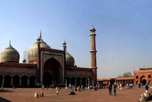 Depuis l'aéroport de Delhi : Visite guidée de l'ancienne et de la nouvelle Delhi pendant l'escale