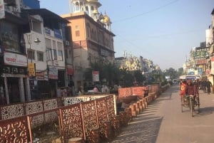 Delhin lentokentältä: Delhi: Opastettu kiertoajelu Vanhassa ja Uudessa Delhissä