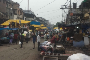 Delhin lentokentältä: Delhi: Opastettu kiertoajelu Vanhassa ja Uudessa Delhissä