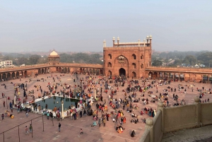 Delhi: la vecchia e la nuova Delhi Tour privato di mezza o intera giornata