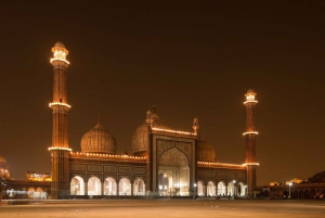 Delhi: la vecchia e la nuova Delhi Tour privato di mezza o intera giornata