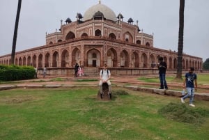 Delhi: la vecchia e la nuova Delhi Tour privato di mezza o intera giornata