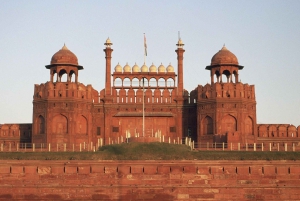 Delhi: la vecchia e la nuova Delhi Tour privato di mezza o intera giornata