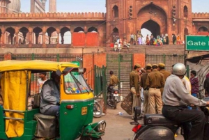 Från Delhi flygplats: Guidad rundtur i Old & New Delhi vid mellanlandning