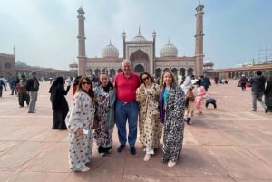 Dagvullende tour door Delhi met lokale deskundige gids