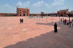 Dagvullende tour door Delhi met lokale deskundige gids