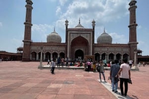 Dagvullende tour door Delhi met lokale deskundige gids
