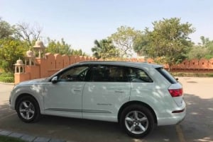 Dagvullende tour door Delhi met lokale deskundige gids