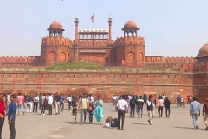 Fra Delhi lufthavn: Guidet tur i gamle og nye Delhi