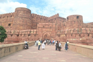 Depuis l'aéroport de Delhi : Excursion privée d'une journée au Taj Mahal et à Agra